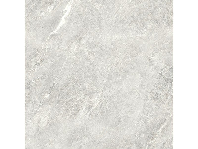 Ajax Gray 80x80
