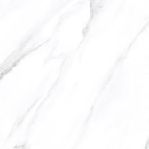 American Calacatta  60x60