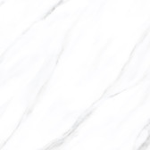 American Calacatta  60x60