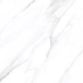 American Calacatta  60x60