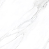 American Calacatta  60x60