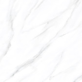 American Calacatta  60x60