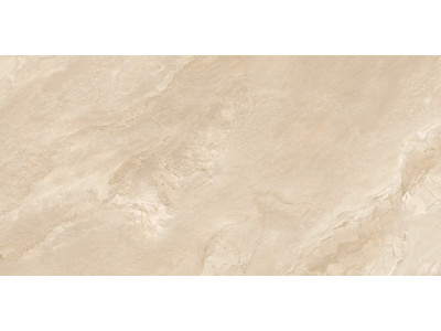 Argenta Beige 120x60