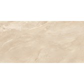 Argenta Beige 120x60