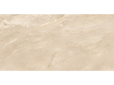 Argenta Beige 120x60