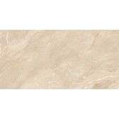 Argenta Beige 120x60