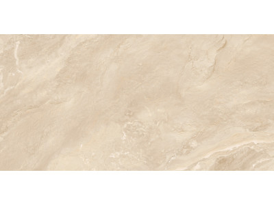 Argenta Beige 120x60