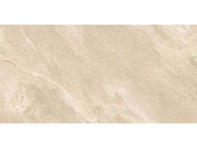 Argenta Beige 120x60