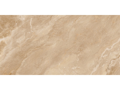 Argenta Bronze 120x60