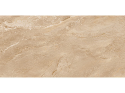 Argenta Bronze 120x60