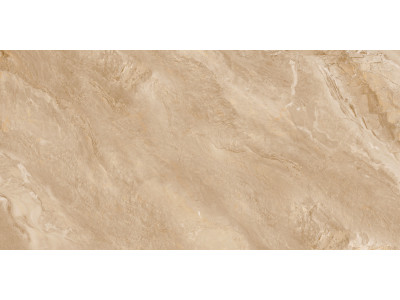 Argenta Bronze 120x60