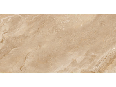 Argenta Bronze 120x60