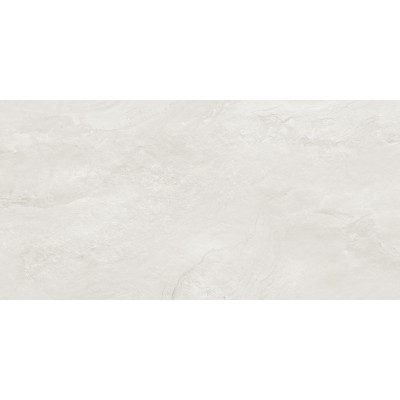 Argenta Gray 120x60
