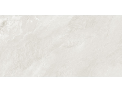 Argenta Gray 120x60