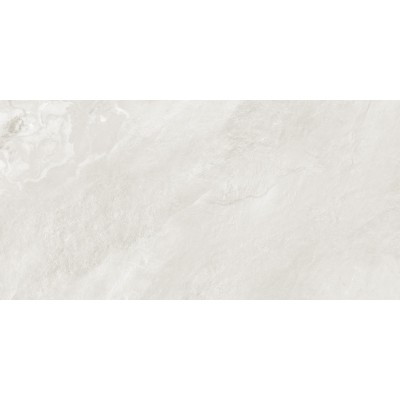 Argenta Gray 120x60