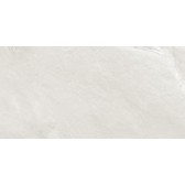 Argenta Gray 120x60
