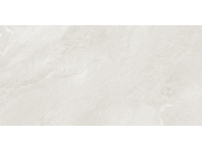 Argenta Gray 120x60
