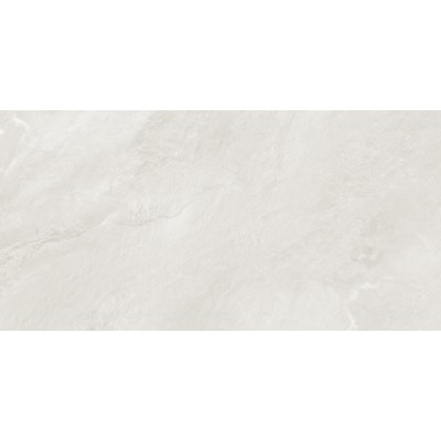 Argenta Gray 120x60