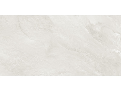 Argenta Gray 120x60