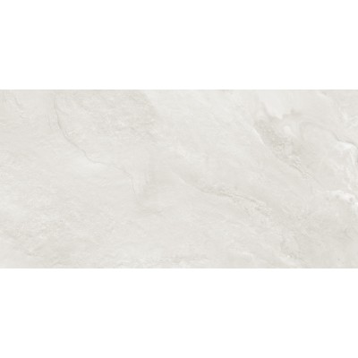 Argenta Gray 120x60