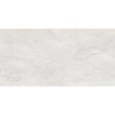 Argenta Gray 120x60