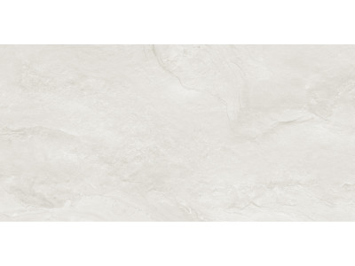 Argenta Gray 120x60