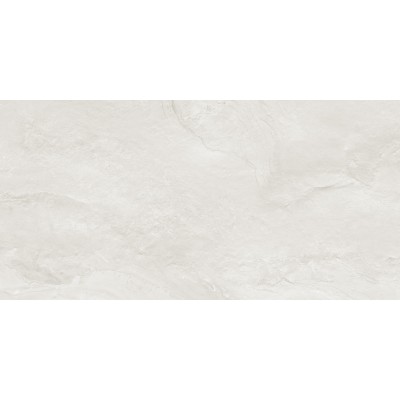Argenta Gray 120x60