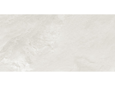 Argenta Gray 120x60
