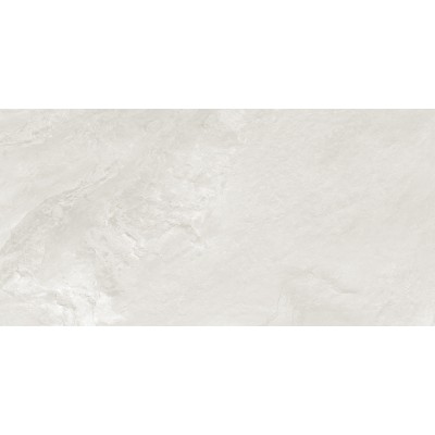 Argenta Gray 120x60