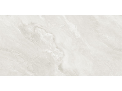 Argenta Gray 120x60