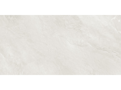 Argenta Gray 120x60