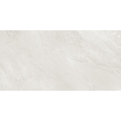 Argenta Gray 120x60