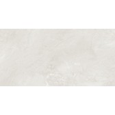 Argenta Gray 120x60