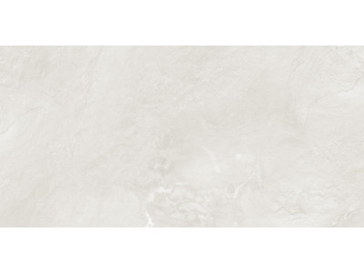 Argenta Gray 120x60
