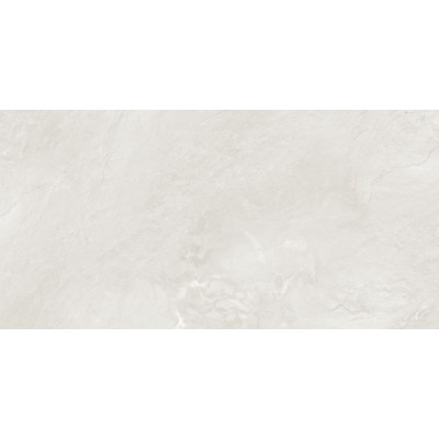 Argenta Gray 120x60