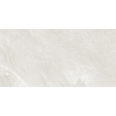 Argenta Gray 120x60