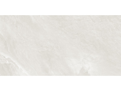 Argenta Gray 120x60
