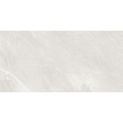 Argenta Gray 120x60