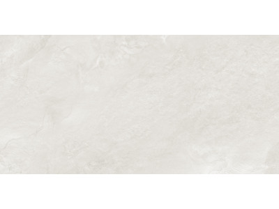 Argenta Gray 120x60
