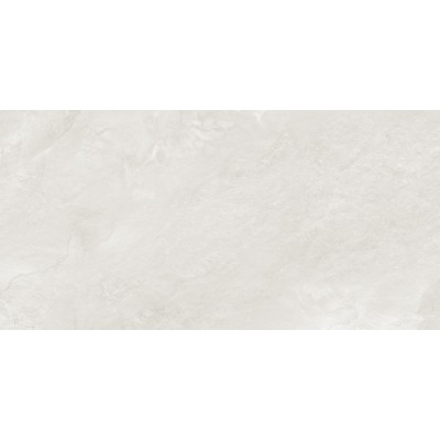 Argenta Gray 120x60