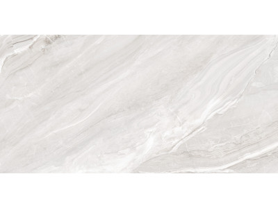 Argentina Gray 120x60
