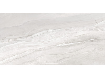 Argentina Gray 120x60

