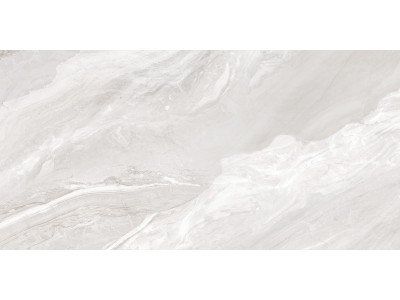 Argentina Gray 120x60

