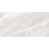 Argentina Gray 120x60
