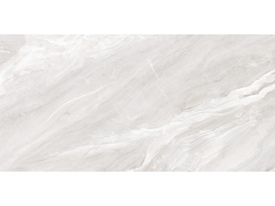 Argentina Gray 120x60

