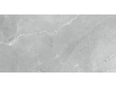 Armani Marble Gray 120x60
