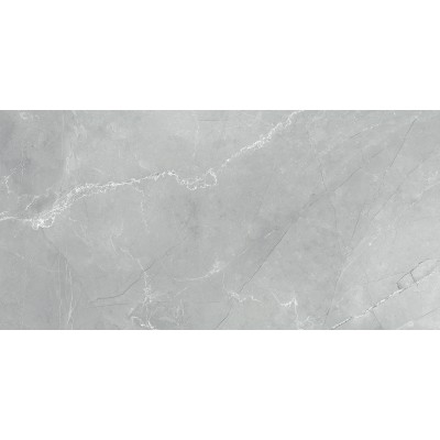 Armani Marble Gray 120x60
