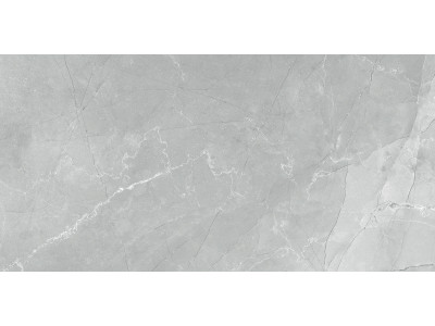 Armani Marble Gray 120x60
