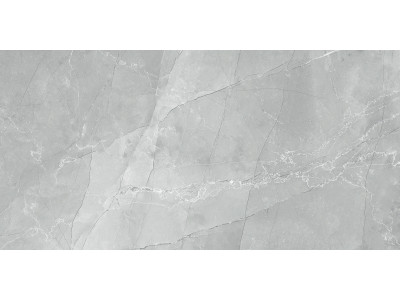 Armani Marble Gray 120x60
