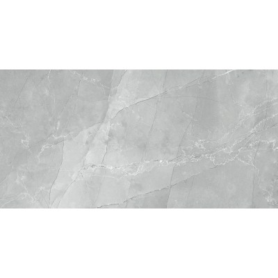 Armani Marble Gray 120x60
